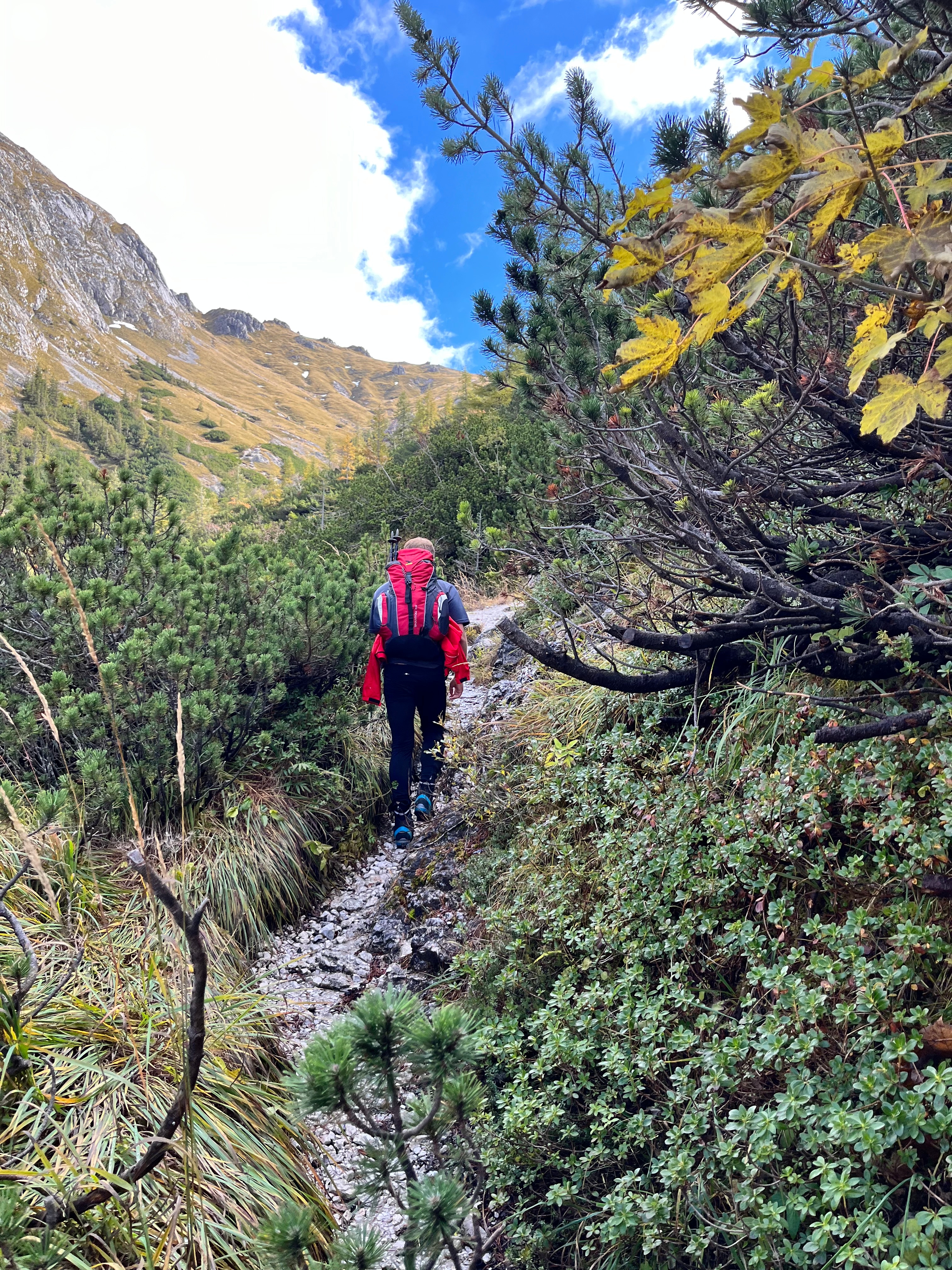 On our way up to Schneibstein