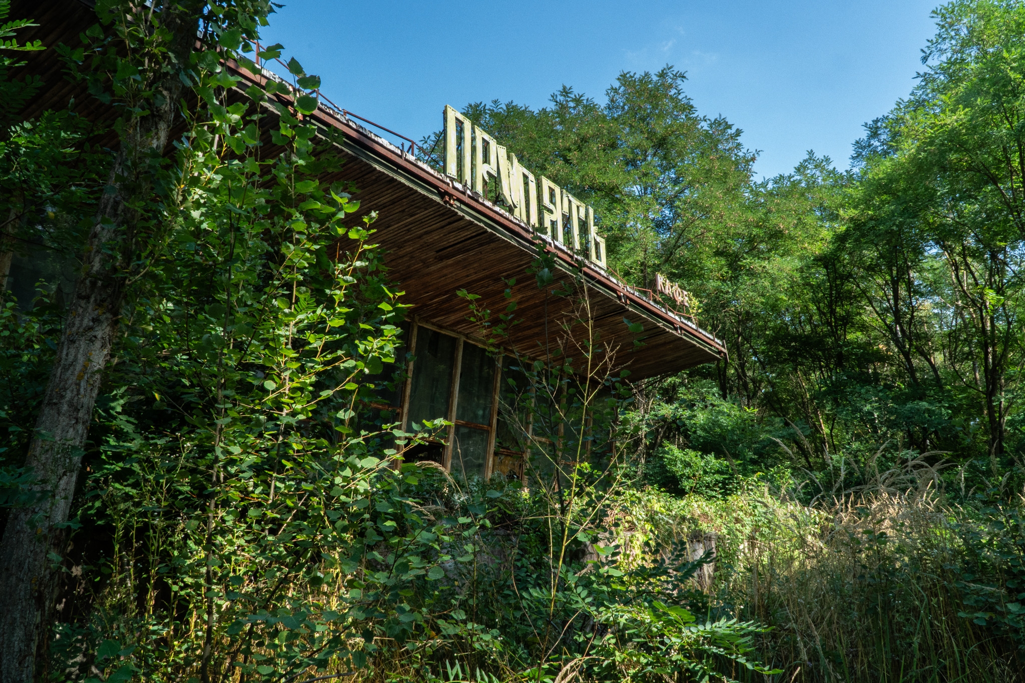 A cafe in Pripyat, next to the ferris wheel. Nature is taking over.